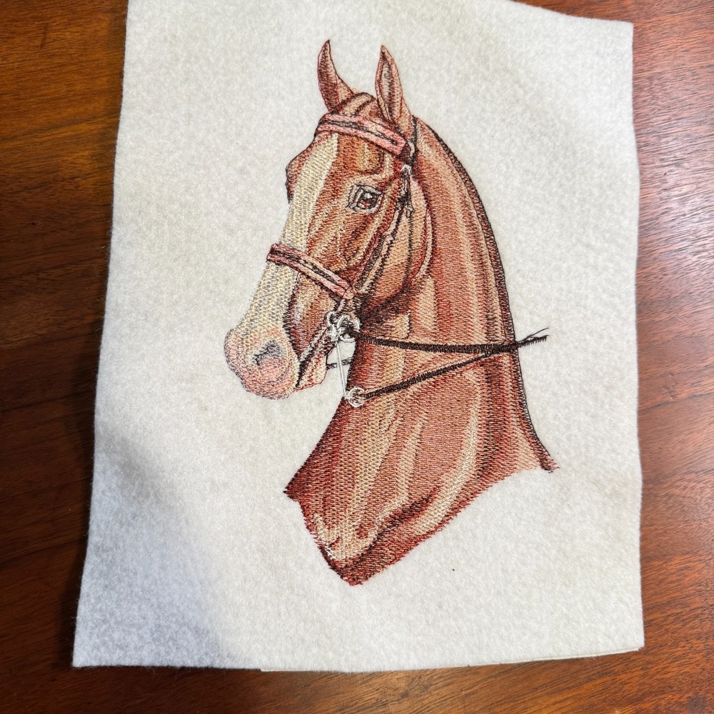 Vintage American Saddlebred Three Gaited Horse Handmade Embroidery Sew On